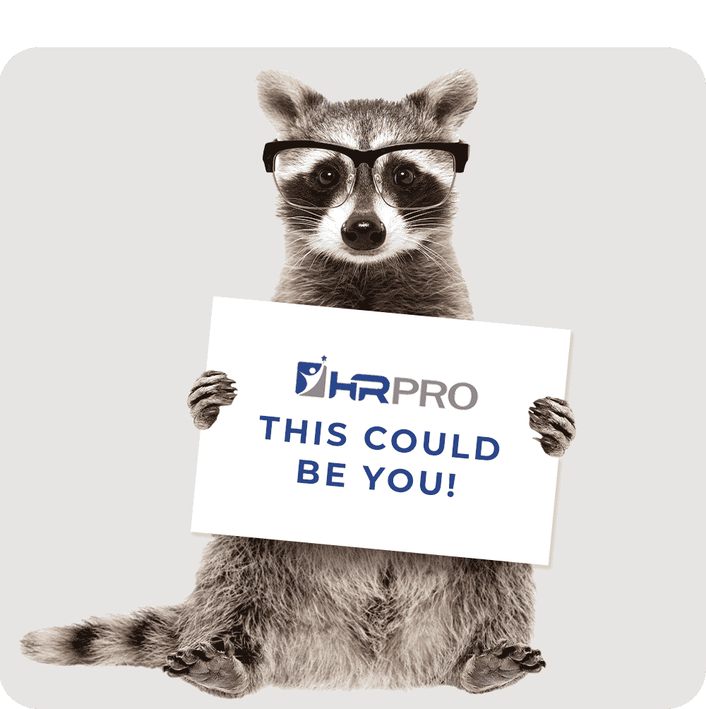 A racoon with glasses holding an HR Pro sign