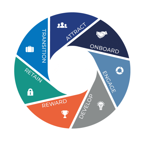 chart, pie chart